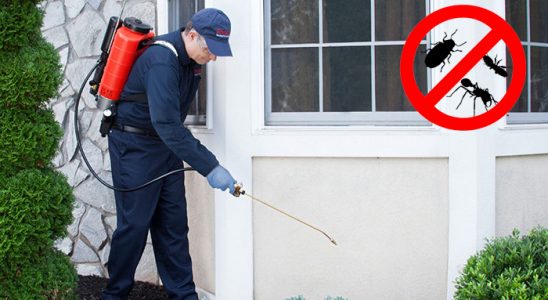 Ortaca Hamam Böceği İlaçlama böcek ilaçlama ve haşere kontrolü — ilaclama-tr.com